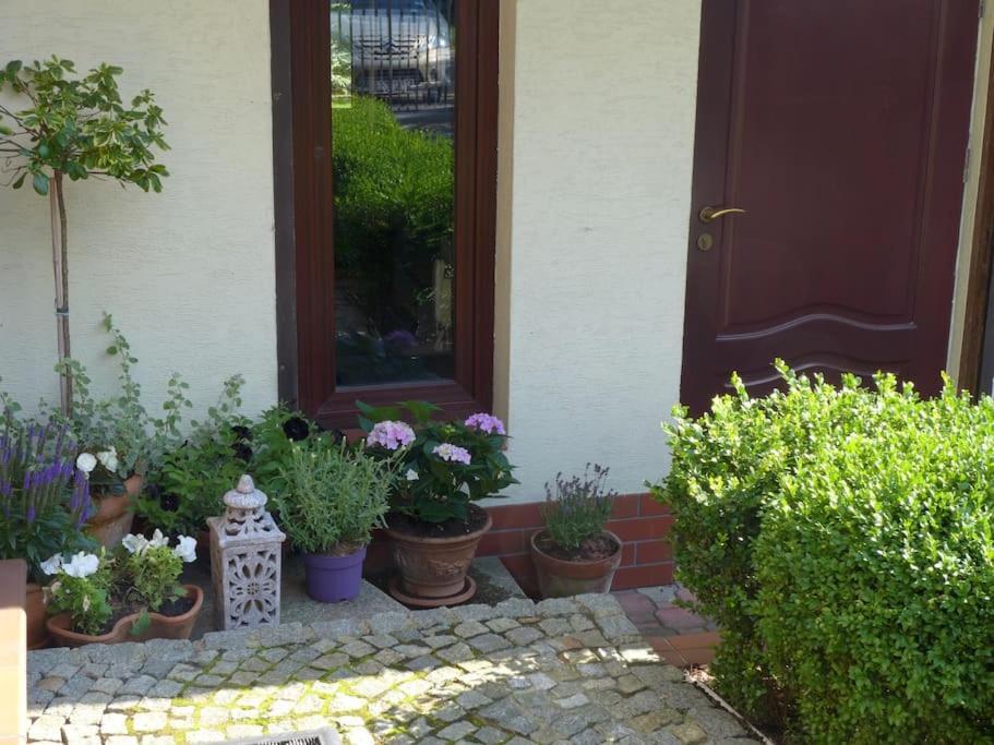 Spacious Apartment In Green District. Wroclaw Exterior photo
